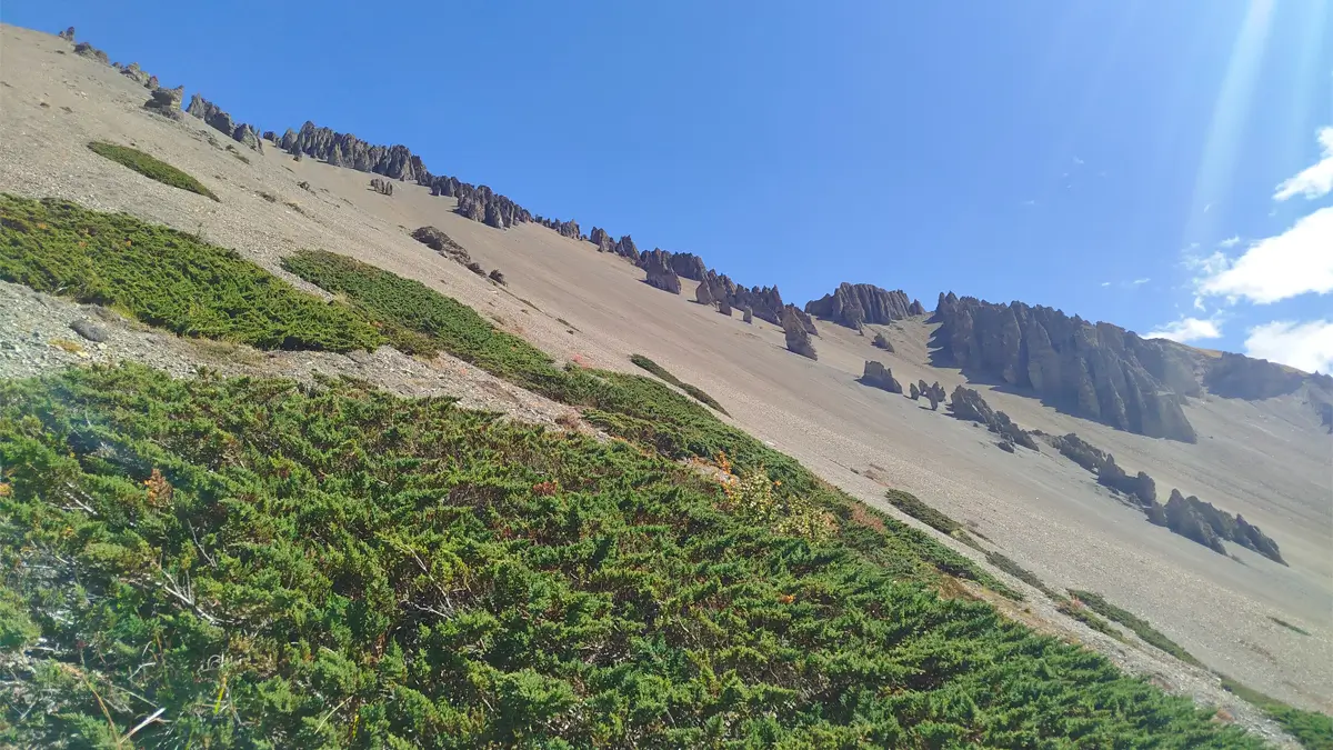 Landscapes of Annapurna Circuit Trek