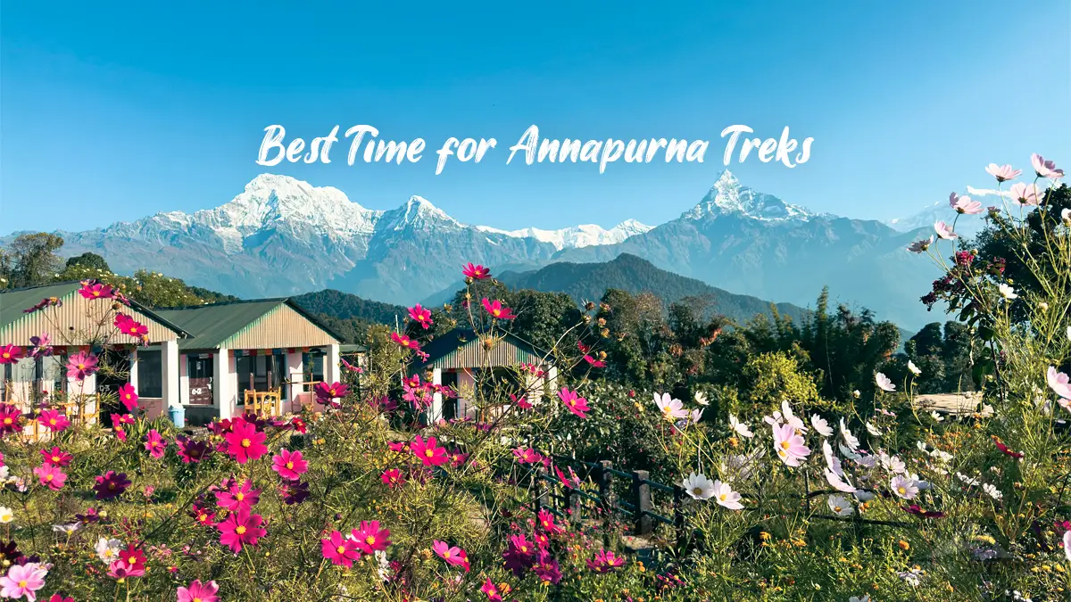 Best time for trekking in Annapurna Conservation Area
