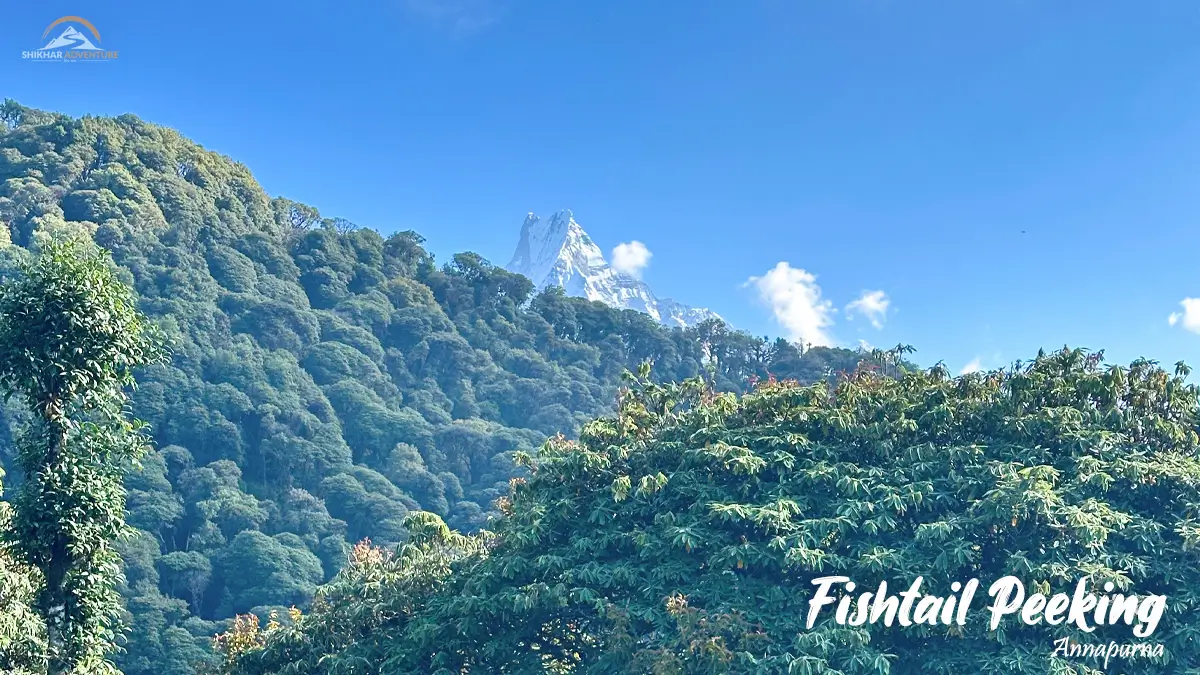 Fishtail peeking from behind the hills