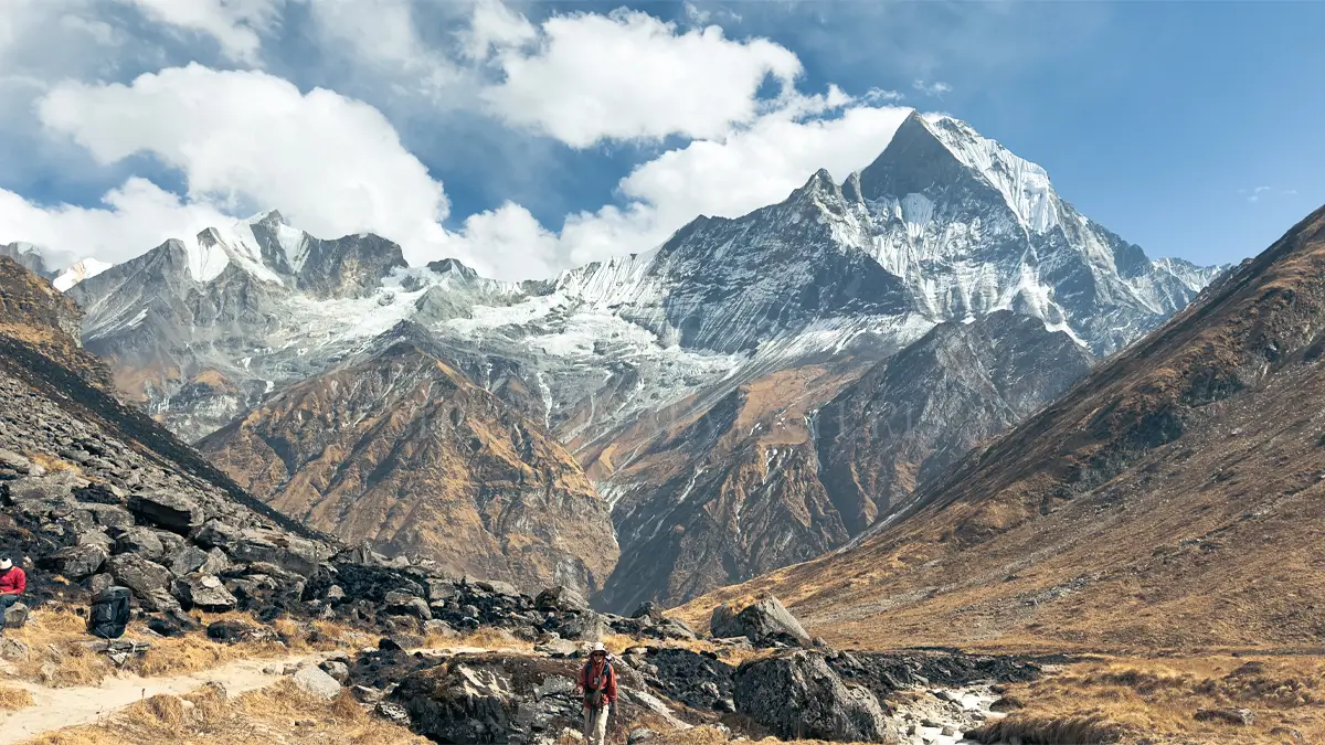 Fishtail on Annapurna Base Camp Trek