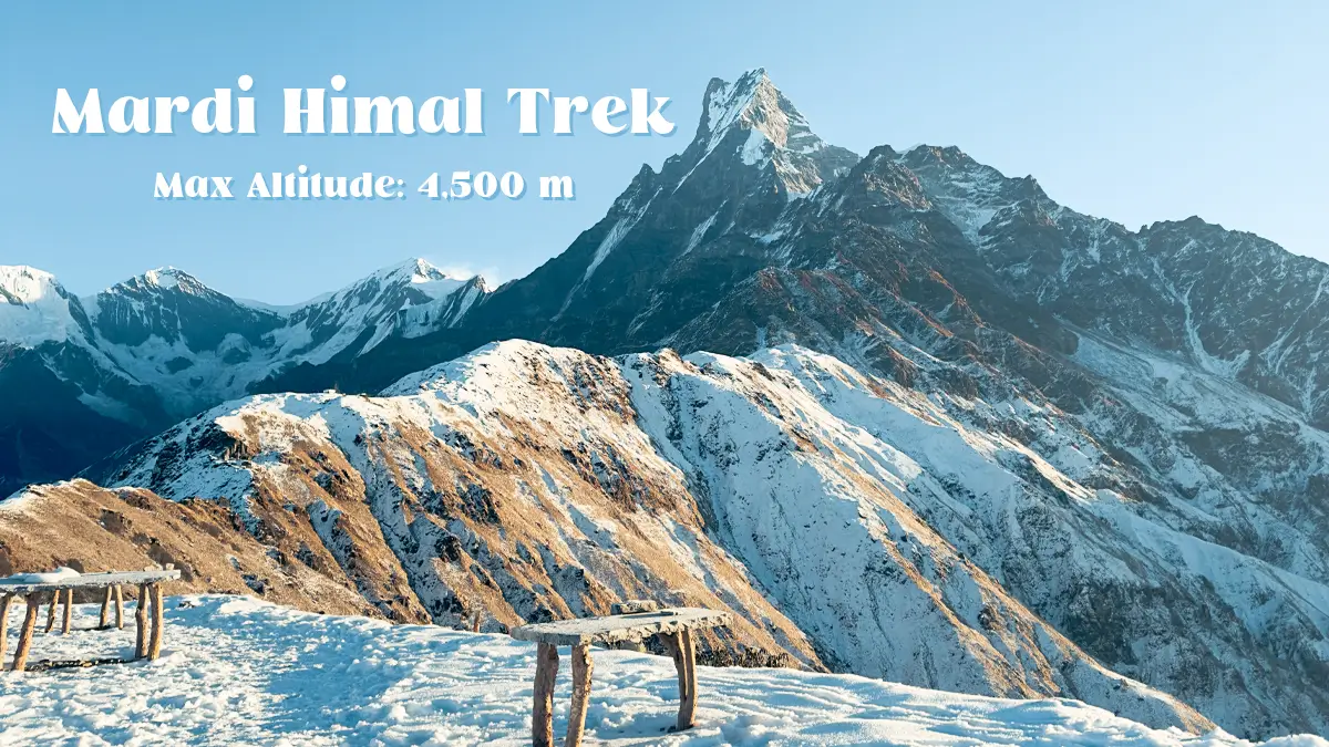Fishtail captured from the view point during Mardi Himal Trek