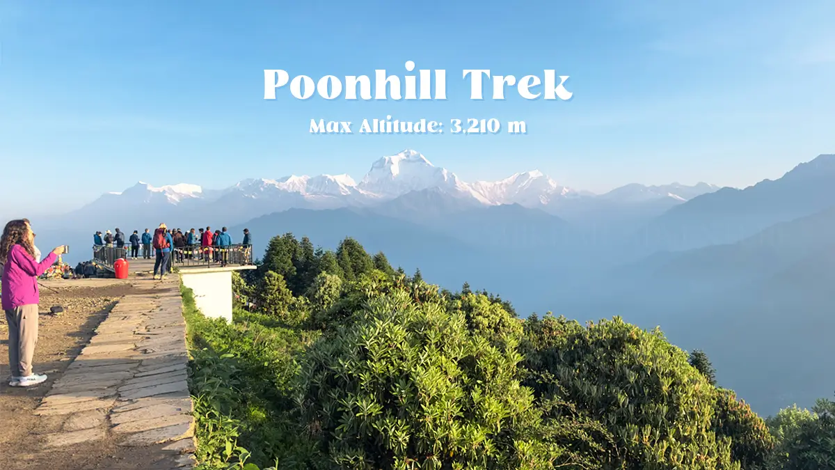 Magnificent view of Dhaulagiri and Annapurna Range at Sunrise from Poonhill (3,210 m)