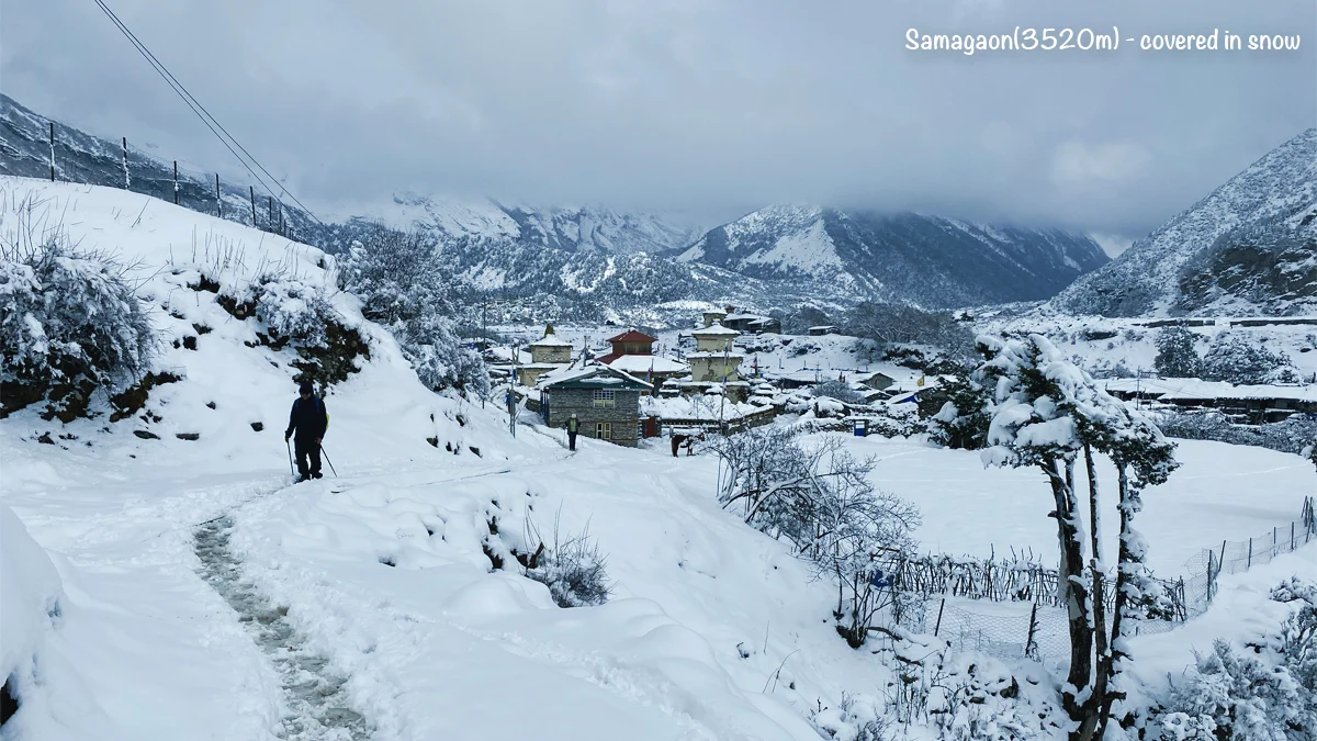 Samagaon village covered in fresh snow during winter trekking season