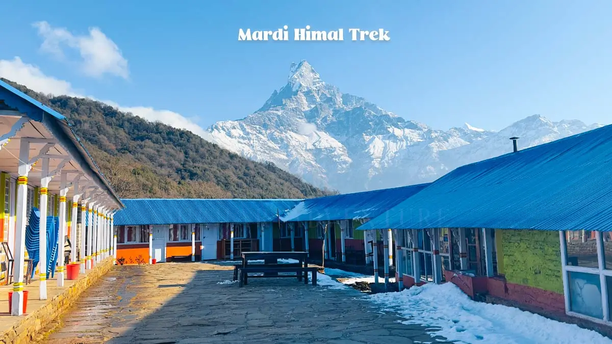Magnificent Fishtail on Mardi Himal Trek