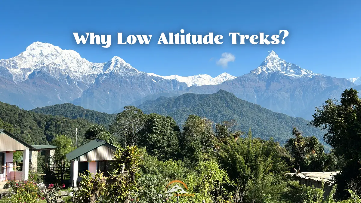 Why should you choose to do low altitude treks in Nepal?