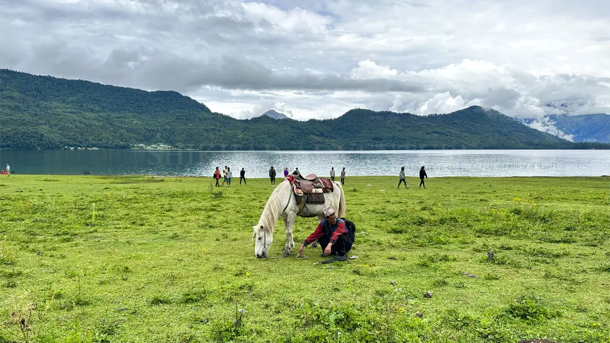 Crystal-clear waters of Rara Lake surrounded by hills and forests in Nepal’s remote far-western region.