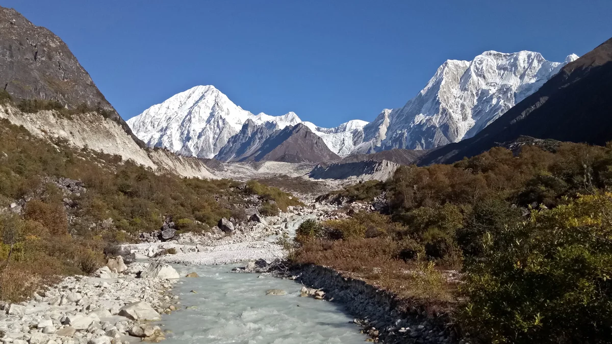 Trekking trail to Goa village on Manaslu Circuit descent through rhododendron forest after Larkya Pass
