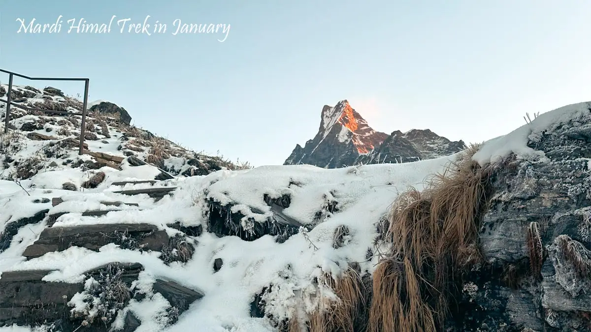 Mardi Himal Trail in January