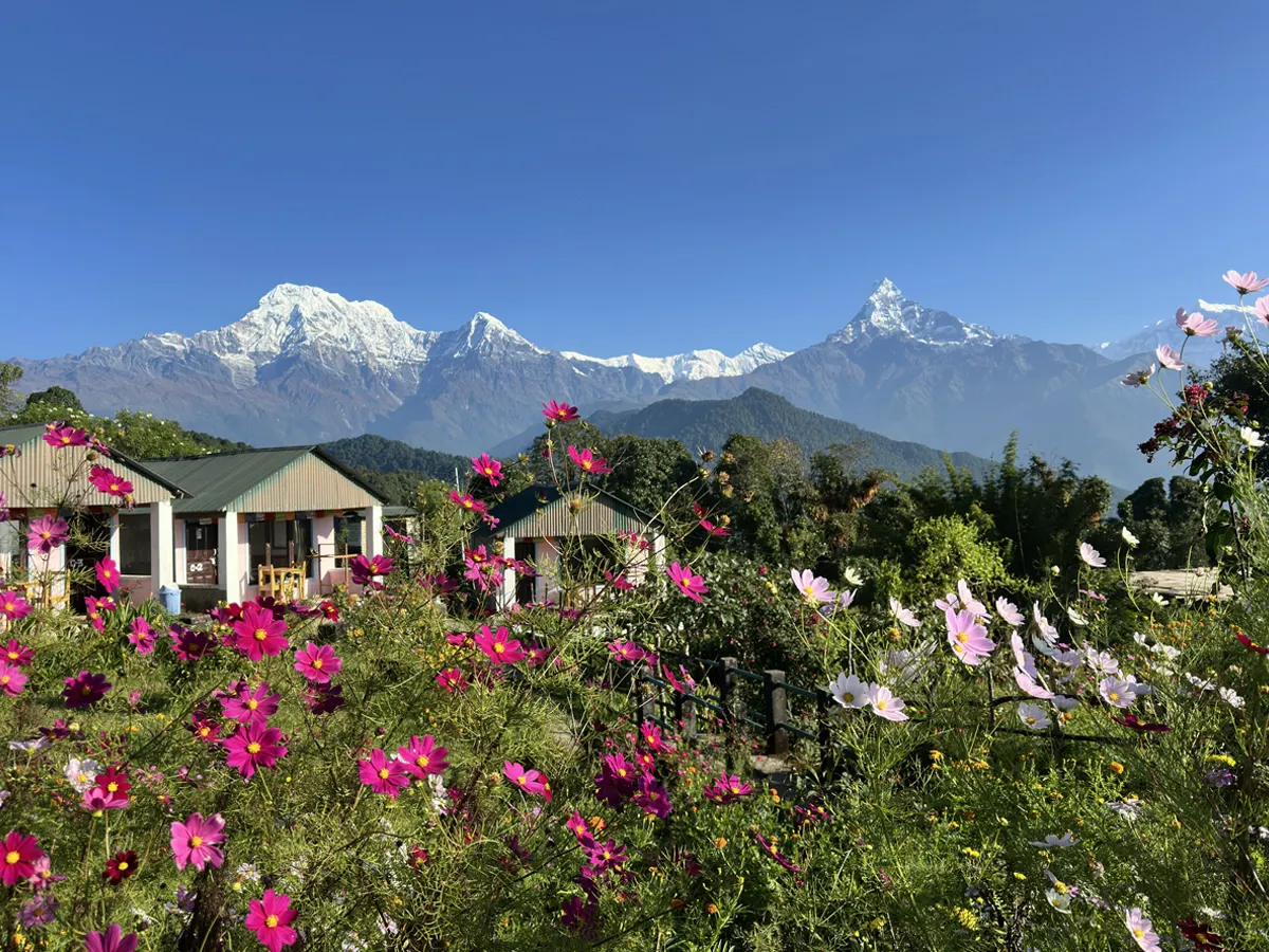 Trekker resting at Australian Camp near Dhampus with Annapurna view