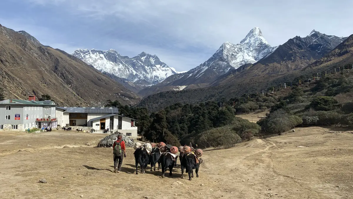 Tengboche Monastery at 3,867m with Ama Dablam and Everest visible, Khumbu Valley, Nepal