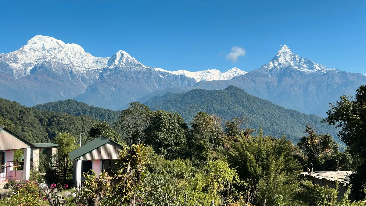 Australian Camp on the way to Pitam Deurali, Day 1 of Mardi Himal Trek